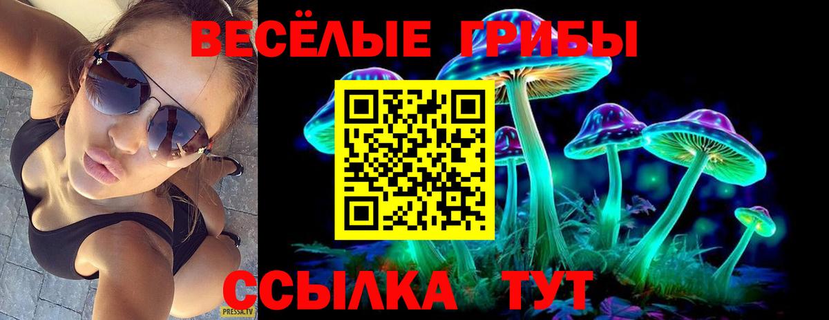 Галлюциногенные грибы мицелий Астрахань
