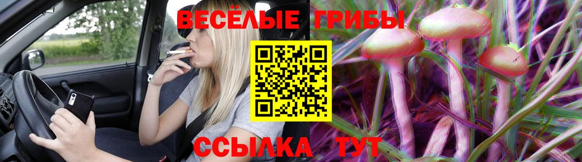 Псилоцибиновые грибы Cubensis  Вход с VPN  Астрахань 